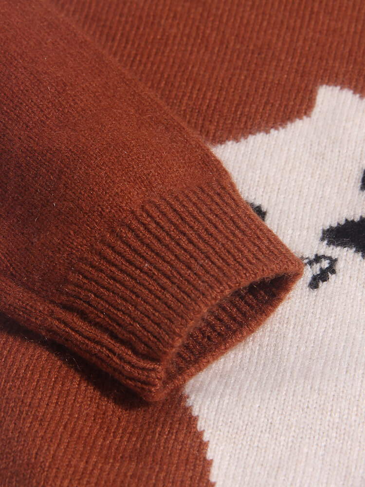 Soft Cat Graphic Cashmere Hoodie Sweater for Boys and Girls